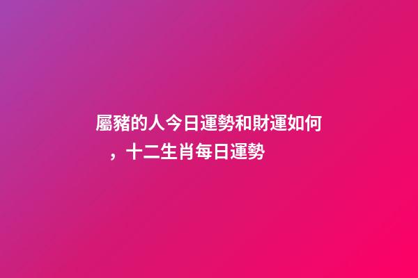 屬豬的人今日運勢和財運如何，十二生肖每日運勢